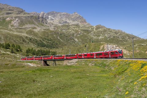 ABe 8/12 3503: RhB ABe 8/12 (Berinapass, GR/CH)