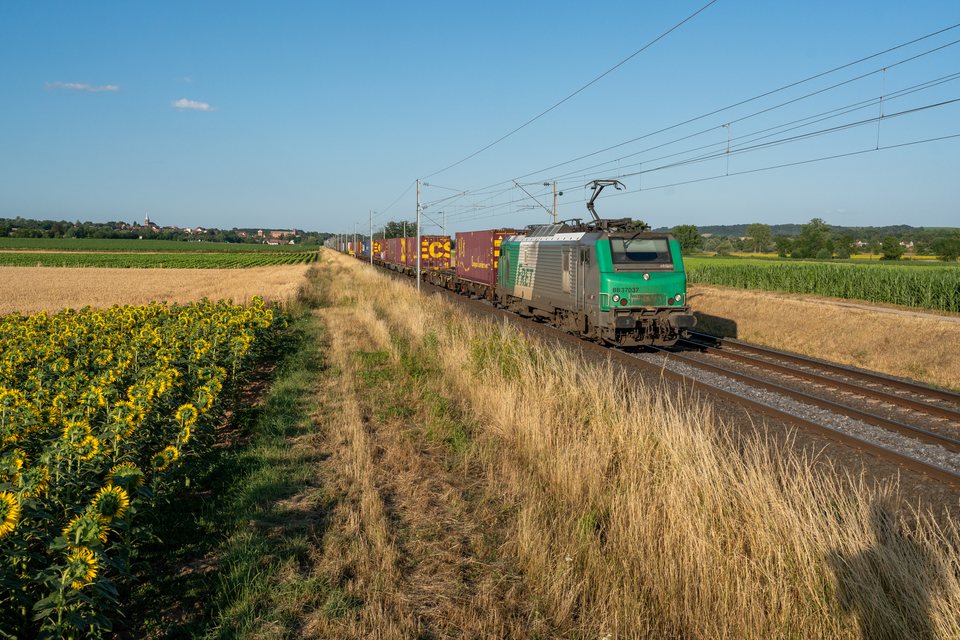 Alstom Prima