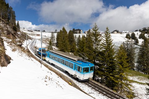 BDhe 4/4 15: Rigibahn BDhe 4/4 Nr. 15 (Rigi Staffel, CH)