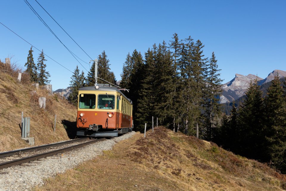BLM (Bergbahn Lauterbrunnen–Mürren): BLM BDe 4/4 21 / Winteregg (BE/CH)