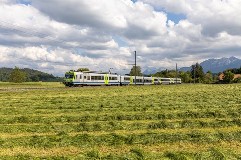 BLS RBDe 565 728 / Mülethurnen (BE/CH)