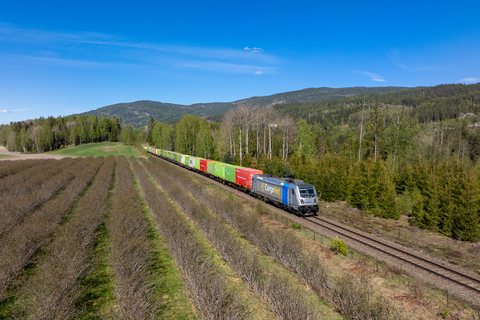 Cargonet: 187 411