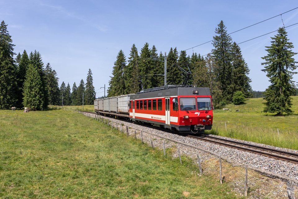 CJ (Chemins de fer du Jura): CJ Be 4/4 617 (Le Pied d'Or, BE/CH)
