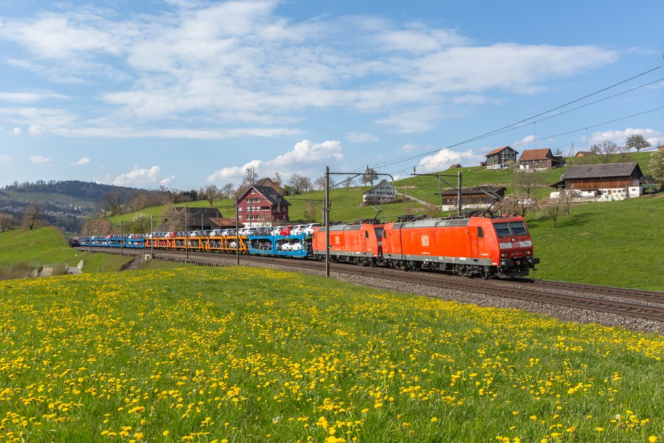 DB Cargo 185 137 / Immensee (SZ/CH)