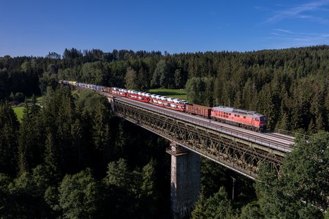 DB Cargo: DB 233 118 (Neusorg, BY/DE)