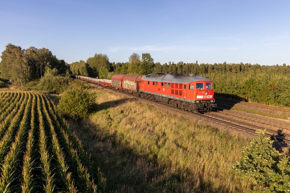 DB Cargo: DB 233 521 (Schönfeld, BY/DE)
