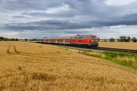 DB Regio: DB 218 499 Nienhagen (ST/DE)