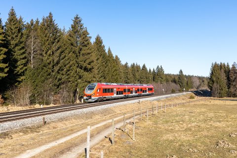 DB Regio: DB 633 551 (Günzach, DE)