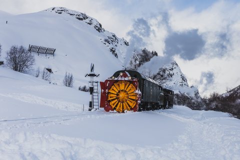 Xrotd R12, HG 3/4 4 (DFB (Dampfbahn Furka Bergstrecke)): Fotofahrt R12 (Realp, CH)