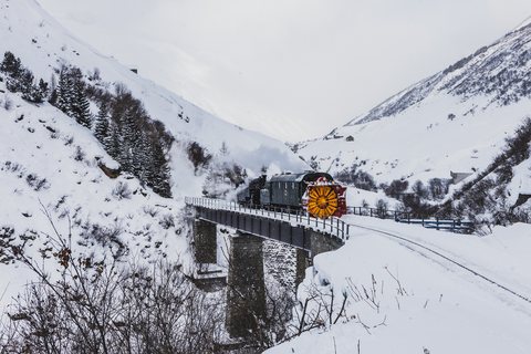 Xrotd R12, HG 3/4 4 (DFB (Dampfbahn Furka Bergstrecke)): Fotofahrt R12 (Realp, CH)