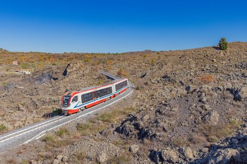FCE (Ferrovia Circumetnea): DMU 004 / IT-Bronte