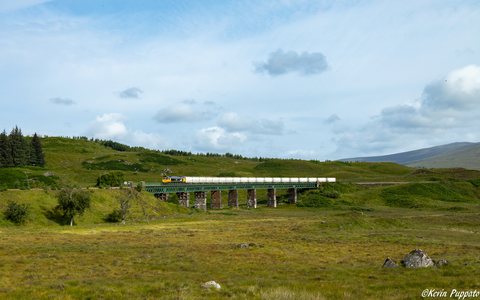 GBRf (GB Railfreight): GBRf Class 66 737