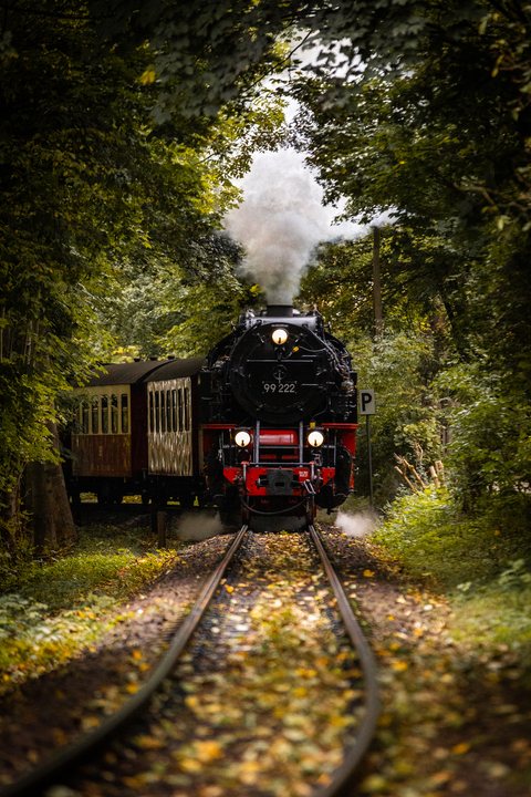 HSB (Harzer Schmalspurbahnen): HSB 99 222 (Wernigerode, DE)
