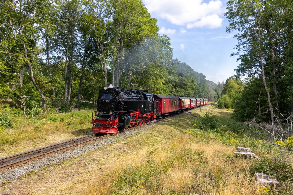 HSB (Harzer Schmalspurbahnen): HSB 99 236 (Drei Annen Hohne, ST/DE)