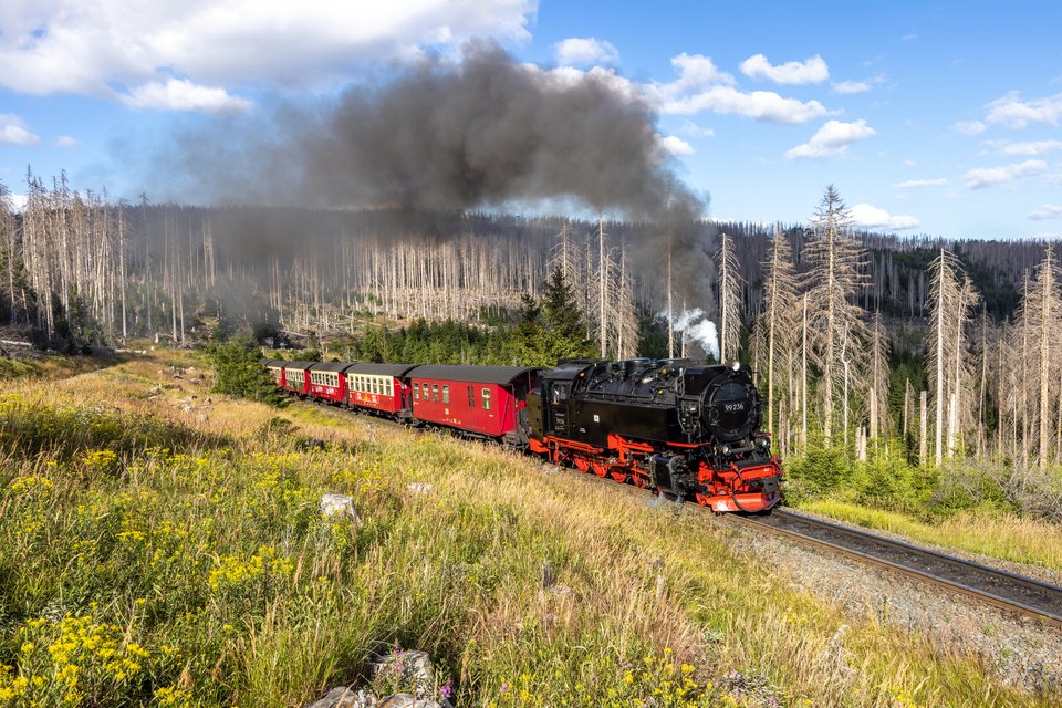 HSB (Harzer Schmalspurbahnen): HSB 99 236 (Schierke, ST/DE)