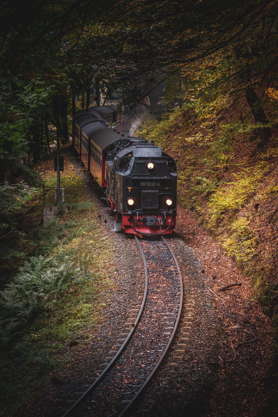 HSB (Harzer Schmalspurbahnen): HSB 99 7232-4 (Drängetal, DE)