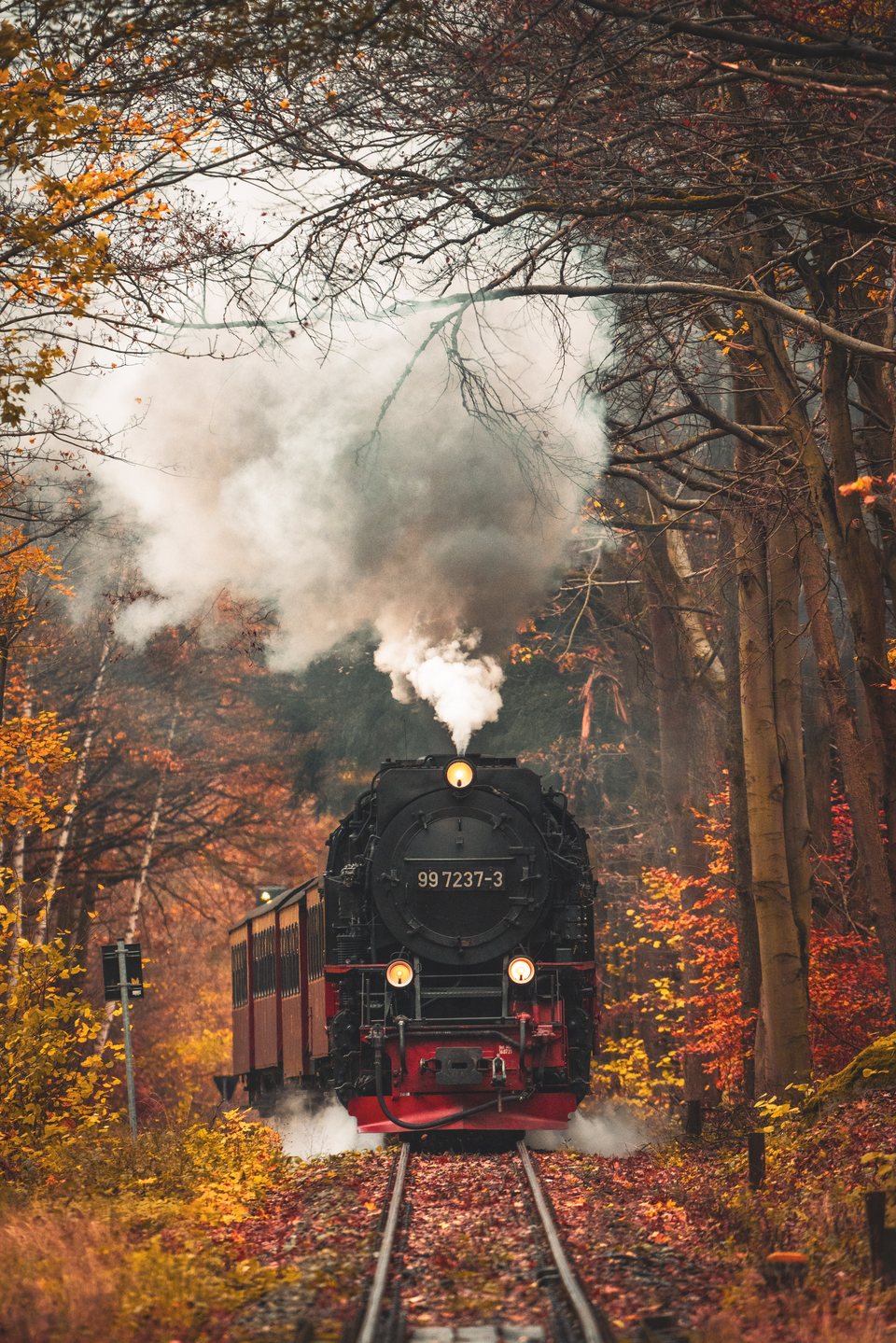 HSB (Harzer Schmalspurbahnen): HSB 99 7237-3 - Eiserne Renne Wernigerode ST/DE