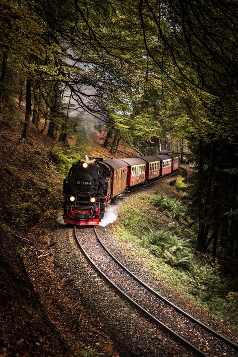 HSB (Harzer Schmalspurbahnen): HSB 99 7239-9 (Drängetal, DE)