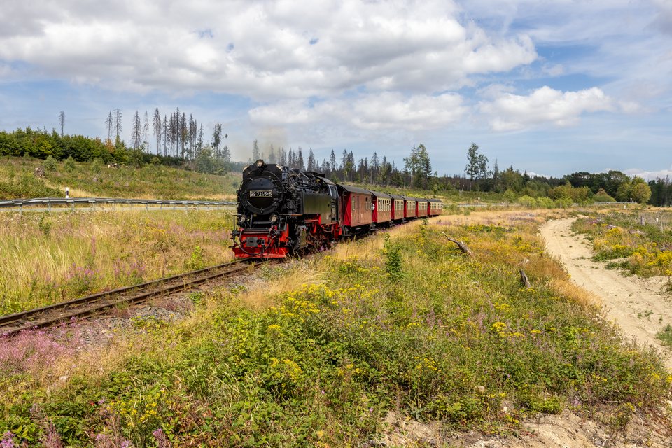 HSB (Harzer Schmalspurbahnen): HSB 99 7245 (Drei Annen Hohne, ST/DE)