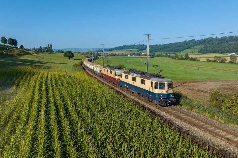 IRSI Re 421 387 + 393 at Hedingen, ZH, CH