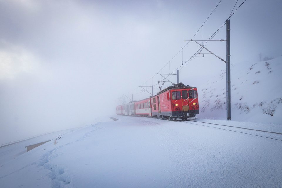 MGB (Matterhorn Gotthard Bahn): MGB Deh 4/4 II 94   - Nätschen, UR (CH)