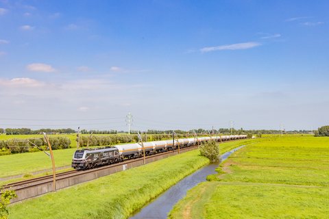 Rail Force One: BR 2019 303 / NL-Hardinxveld-Giessendam