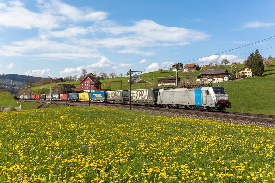 Railpool 186 104 / Immensee (SZ/CH)