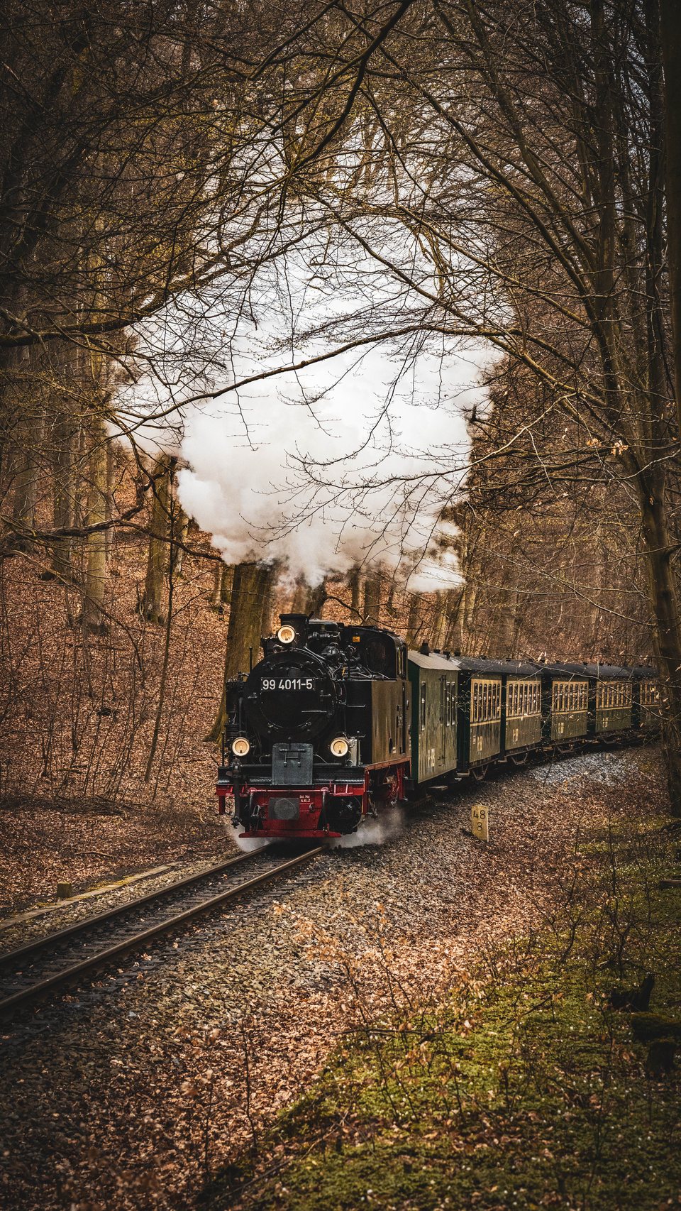 Rasender Roland