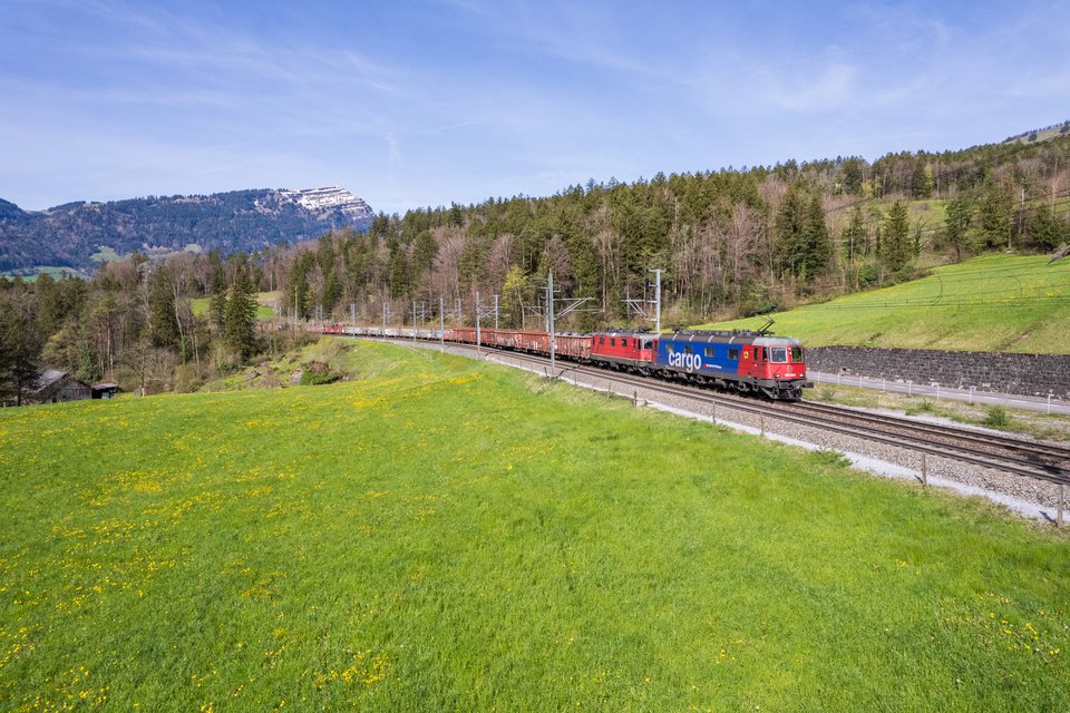 Re 420 (Re 4/4 II), Re 620 (Re 6/6): SBB Cargo Re 620 063 at Goldau, SZ, CH