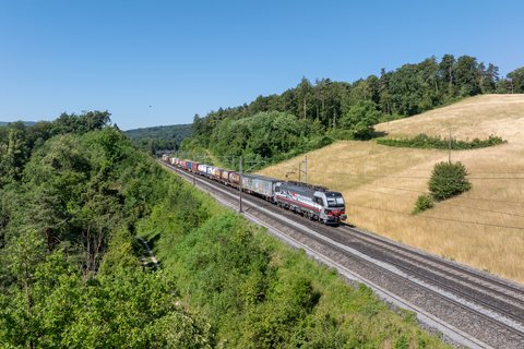 SBB Cargo International (SBB CINT): 193 541