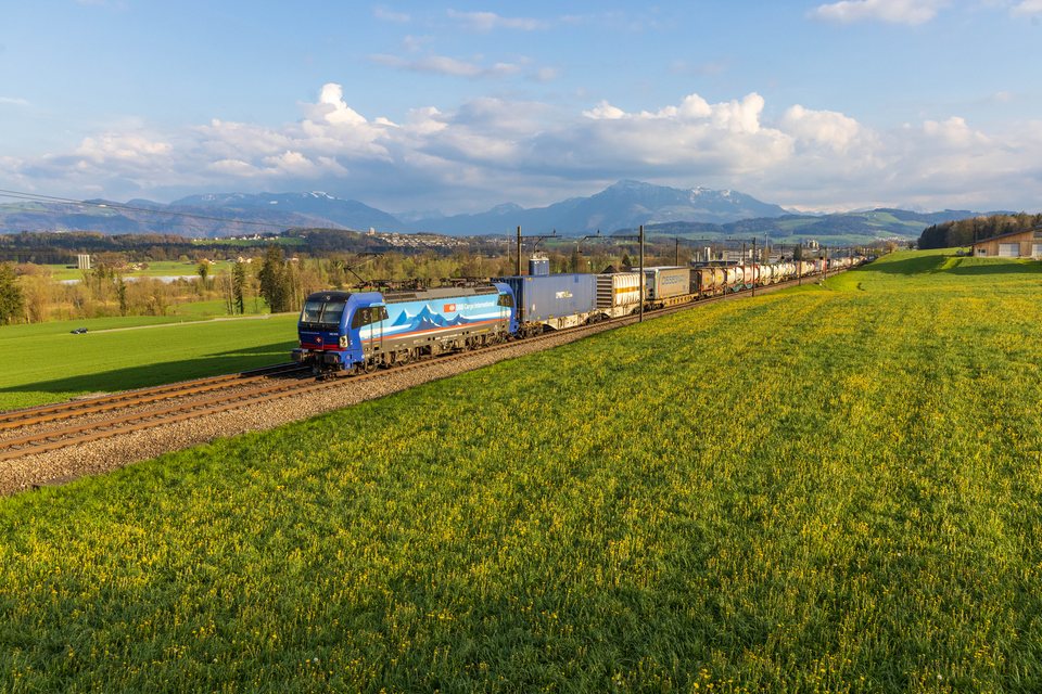SBB Cargo International (SBB CINT): SBB CINT 193 519 (Sins, AG/CH)