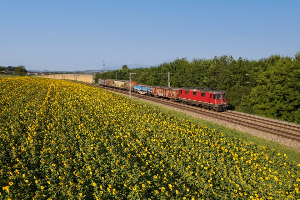 SBB Cargo Re 420 339 at Épendes, VD, CH