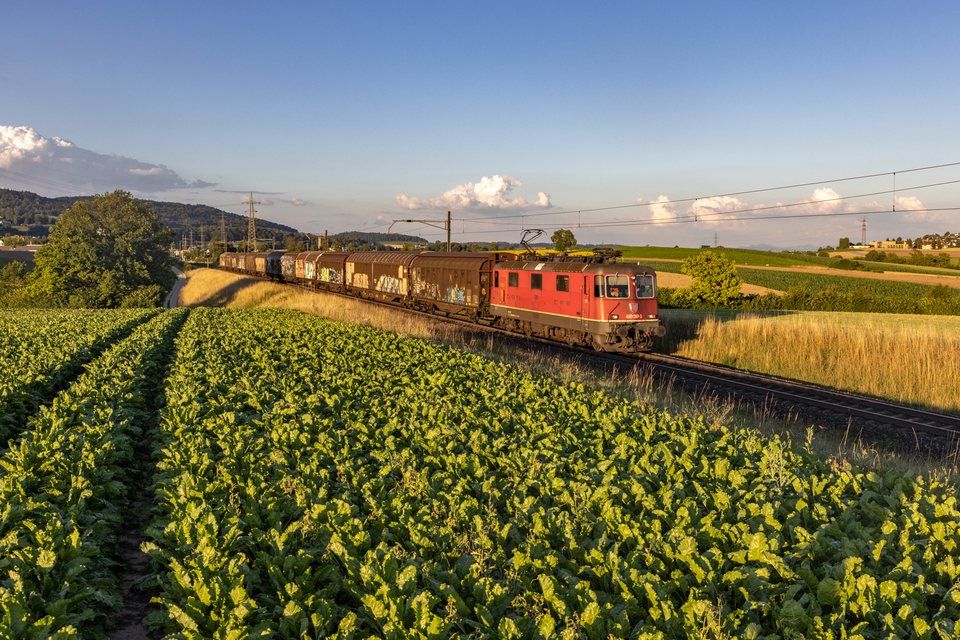 Re 420 (Re 4/4 II) 059 (SBB Cargo (SBBC)): SBB Cargo Re 420 059 (Otelfingen, AG/CH)