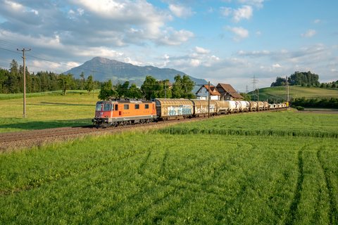 Re 420 (Re 4/4 II) 245 (SBB Cargo (SBBC)): SBB Re 420 245 (Buonas, ZG/CH)