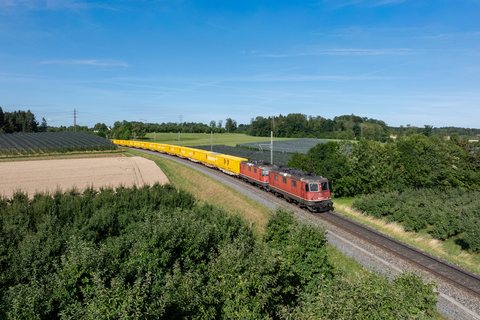 Re 420 (Re 4/4 II) 255 (SBB Cargo (SBBC)): Re 420 255