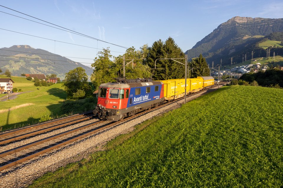 Re 420 (Re 4/4 II) 288 (SBB Cargo (SBBC)): SBB Cargo Re 420 288 (Immensee, SZ/CH)