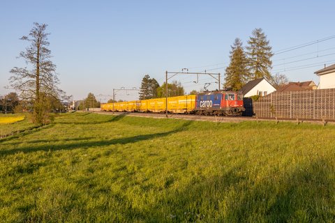 Re 420 (Re 4/4 II) 310 (SBB Cargo (SBBC)): SBB Re 420 310 (Erlen, TG/CH)