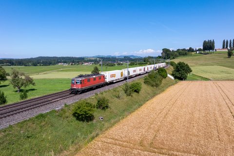Re 420 (Re 4/4 II) 339 (SBB Cargo (SBBC)): Re 420 339