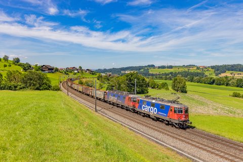 Re 420 (Re 4/4 II) 344, Re 620 (Re 6/6) 008 (SBB Cargo (SBBC)): Re 420 344 + Re 620 008 / CH-Honau