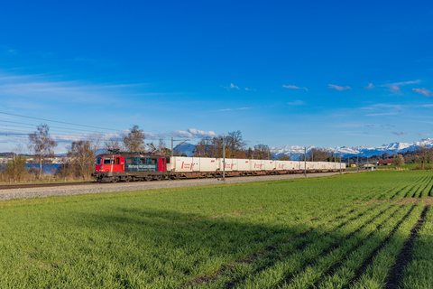 Re 420 (Re 4/4 II) 345 (SBB Cargo (SBBC)): Re 420 345 / CH-Nottwil