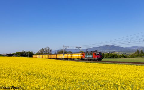 Re 420 (Re 4/4 II) 345 (SBB Cargo (SBBC)): SBBC Re 420 345 + PZ 50015