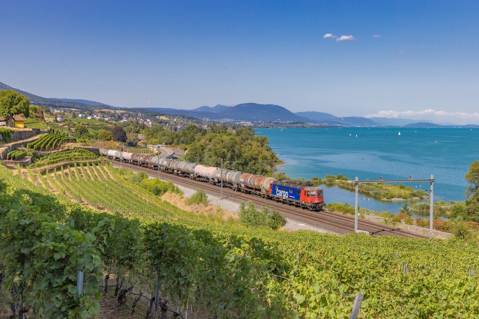 Re 620 (Re 6/6) 008 (SBB Cargo (SBBC)): Re 620 008 / CH-Vaumarcus