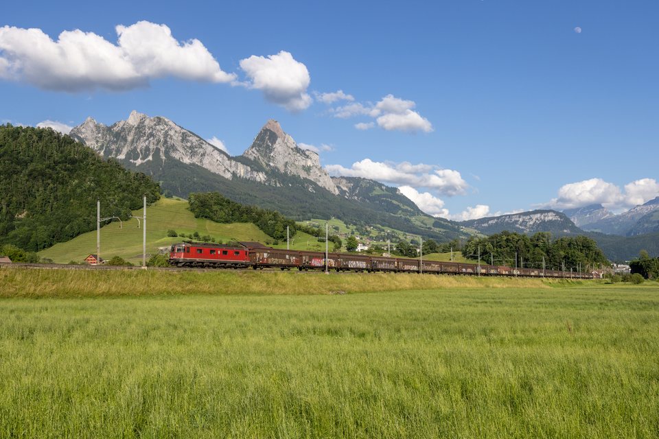 Re 620 (Re 6/6) 017 (SBB Cargo (SBBC)): SBB Cargo Re 620 017 (Steinen, SZ/CH)