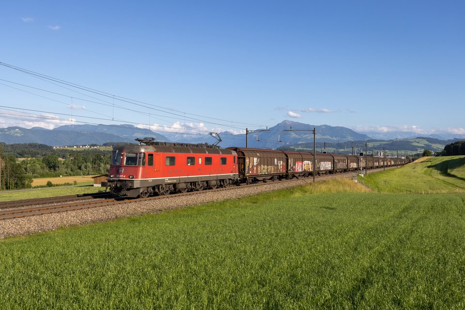 Re 620 (Re 6/6) 017 (SBB Cargo (SBBC)): SBB Re 620 017 (Sins, AG/CH)