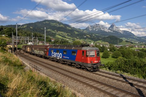 Re 620 (Re 6/6) 065 (SBB Cargo (SBBC)): SBB Re 620 065 (Steinen, SZ/CH)