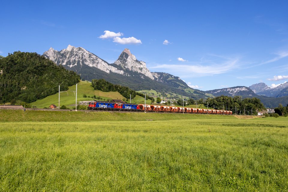 Re 620 (Re 6/6) 068 (SBB Cargo (SBBC)): SBB Cargo Re 620 068 (Steinen, SZ/CH)