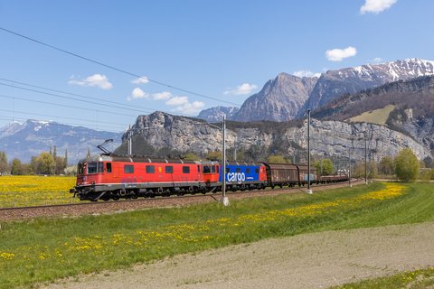 Re 620 (Re 6/6) 085 (SBB Cargo (SBBC)): Re 620 085 / Sargans (SG/CH)