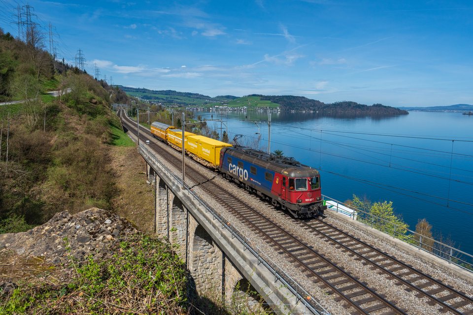 Re 620 (Re 6/6) 087-7 (SBB Cargo (SBBC)): SBB Cargo Re 620 087 at Arth, SZ, CH