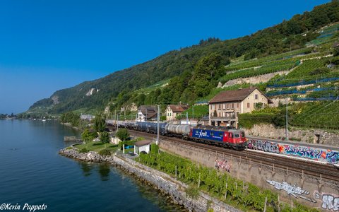 Re 620 (Re 6/6) 088 (SBB Cargo (SBBC)): SBBC Re 620 088 + GZ 69533 CORN-MEL