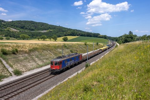 Re 620 (Re 6/6) (SBB Cargo (SBBC)): SBB Re 620 (Concise VD/CH)